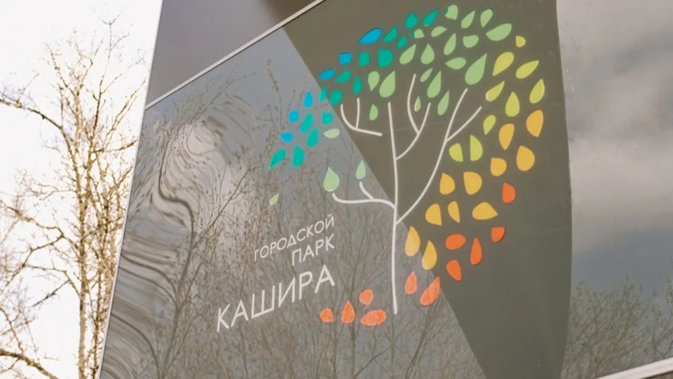 Фото: пресс-служба администрации г.о. Кашира