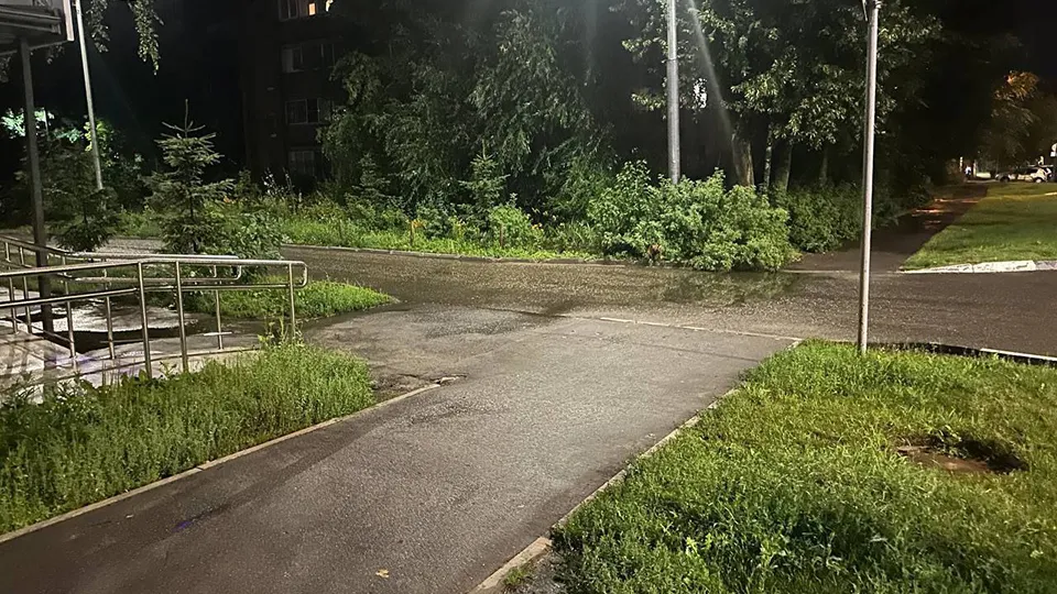 Фото: администрация г.о. Пушкинский