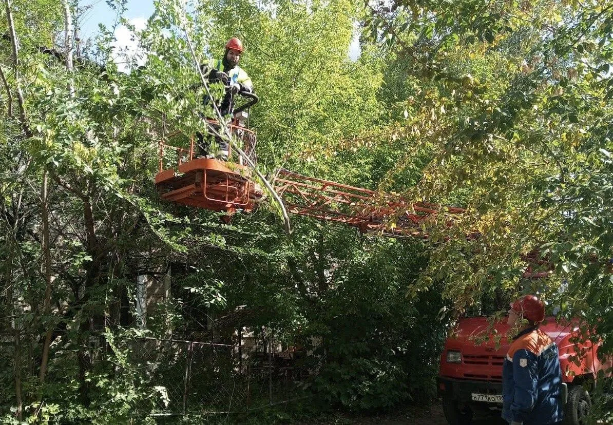 Фото: Мособлэнерго