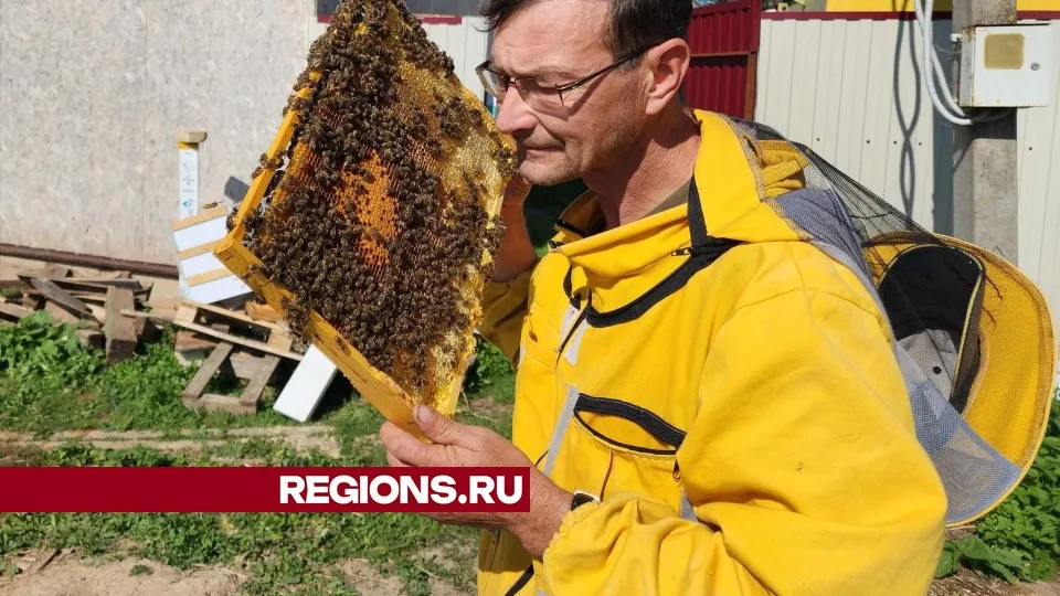 Фото: Дмитрий Алексеенко