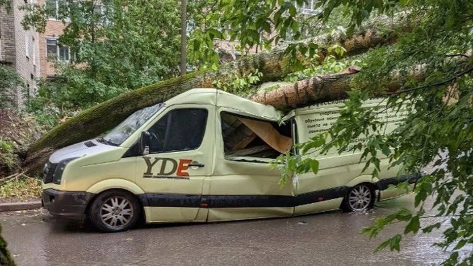 Фото: соцсети