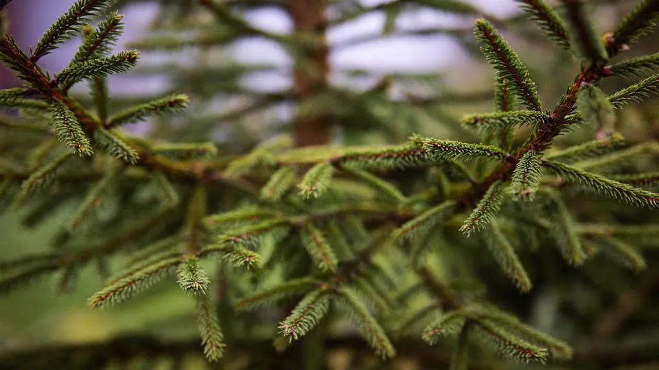 Фото: REGIONS/Владимир Ерастов