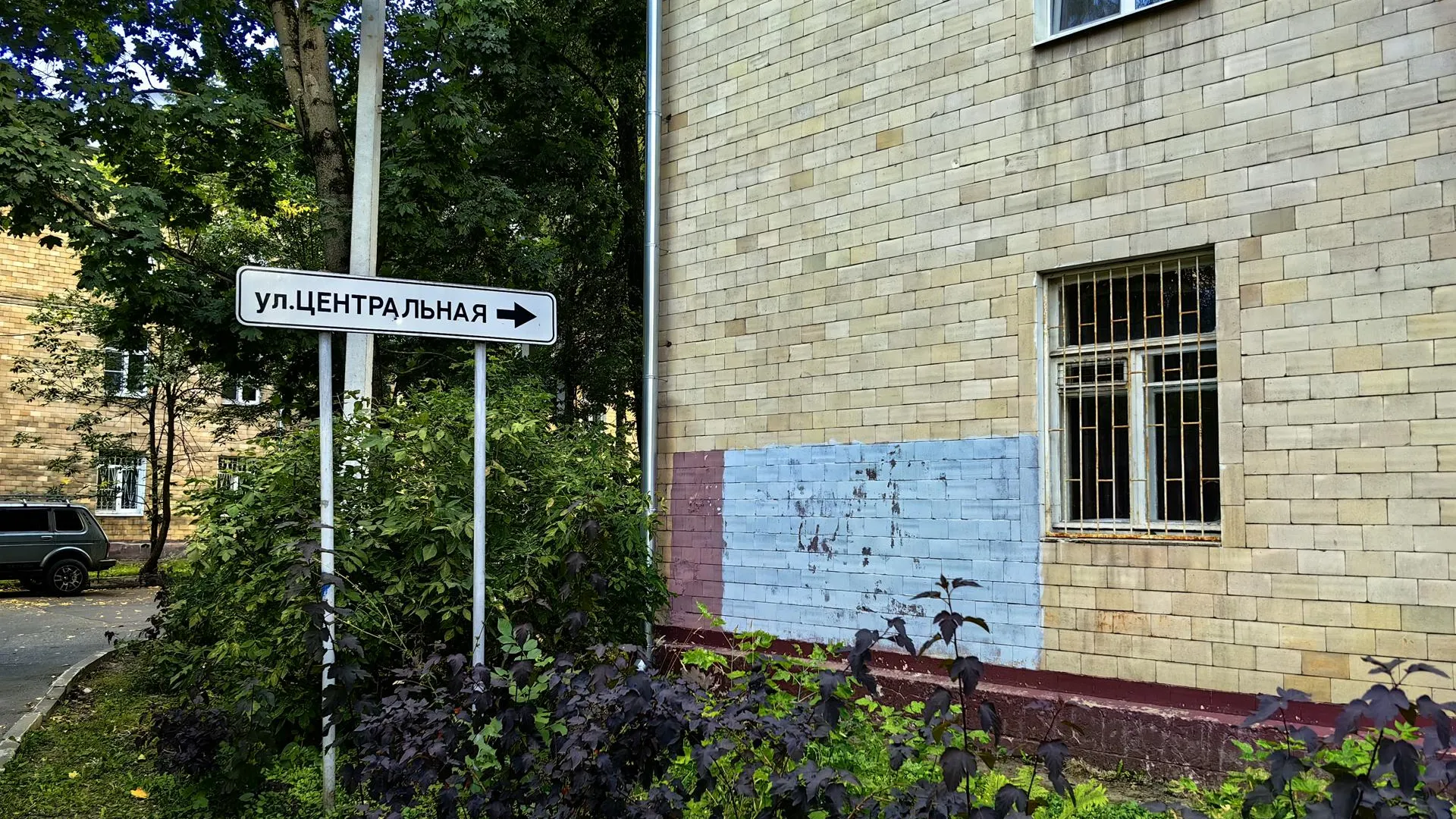 Елена Катасонова