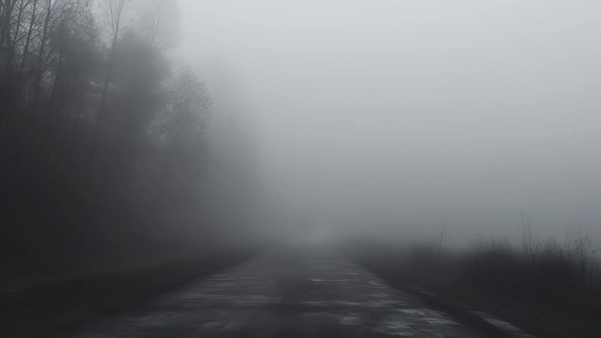 медиасток.рф