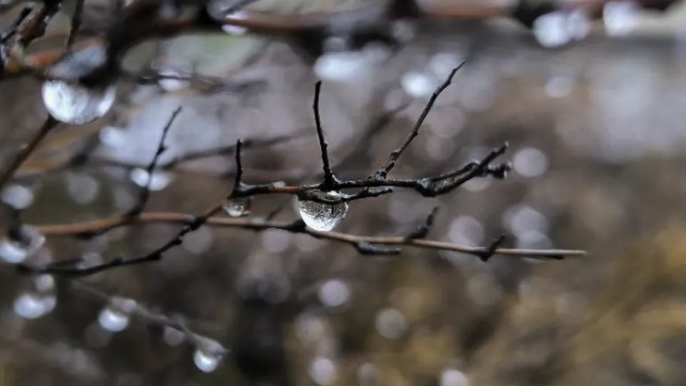 Фото: REGIONS/Роман Малышенко