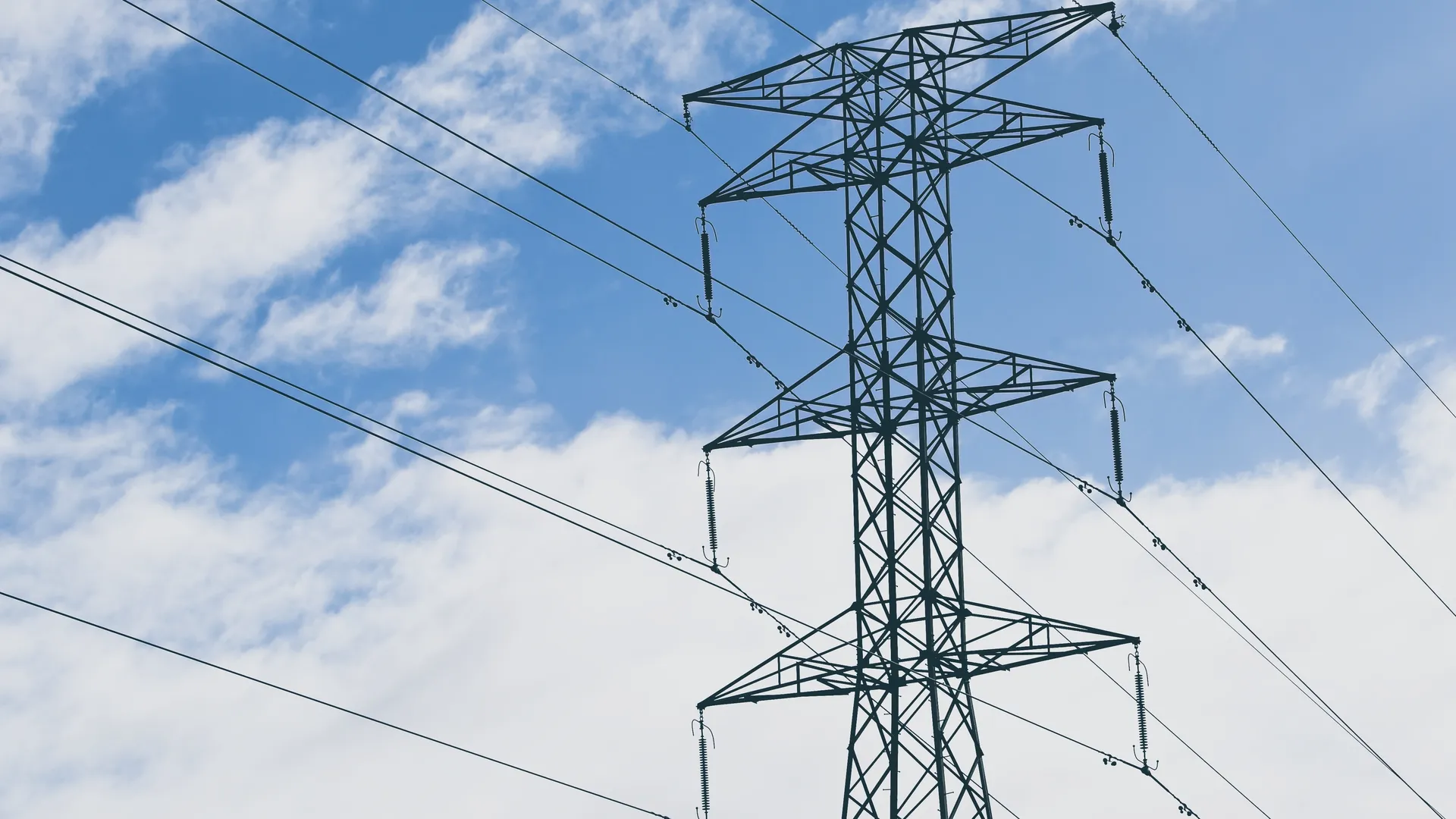 Источник: Freepik