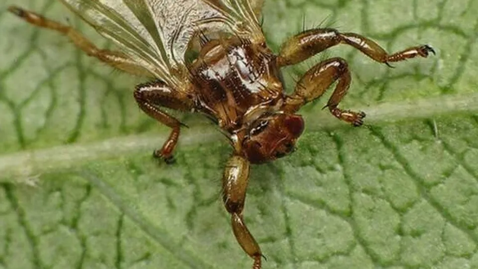 Фото: t.me/elk_island_national_park