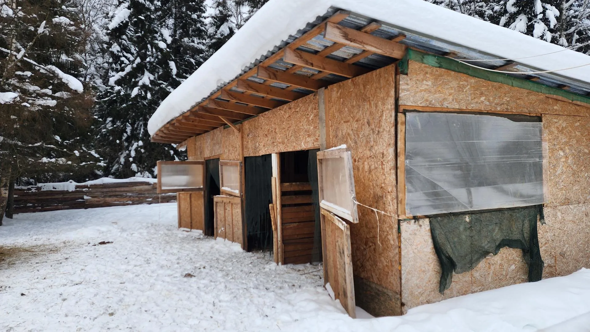 МедиаБанк Подмосковья/Валентина Максимова