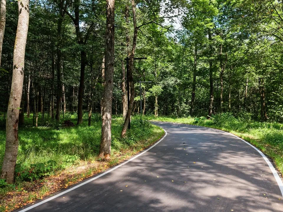 Работы по благоустройству начнутся в 13 лесопарках Подмосковья в 2026 году