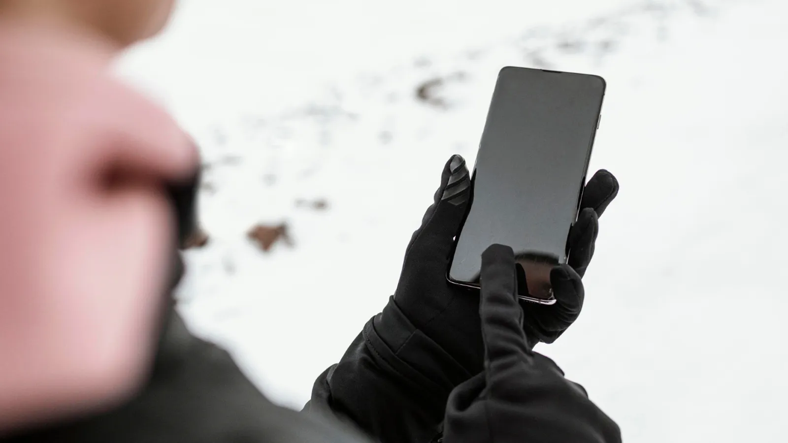 Фото: freepik.com