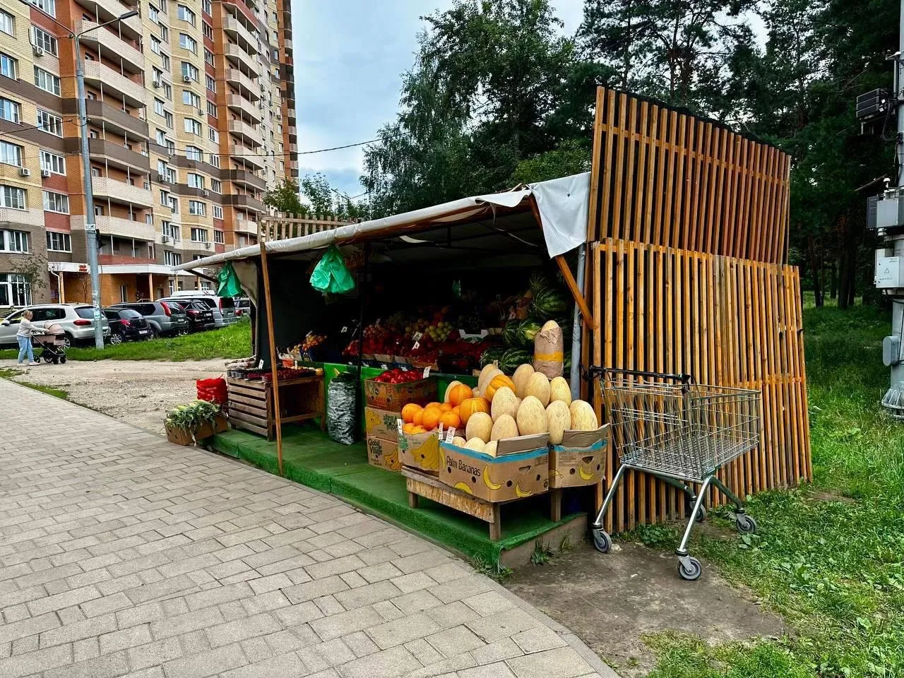 Фото: пресс-служба Министерства сельского хозяйства и продовольствия Московской области