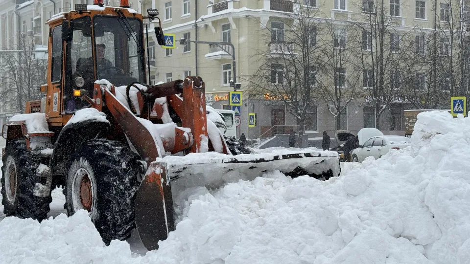 Фото: Виктория Фортуна