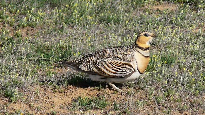 Фото: freepik.com