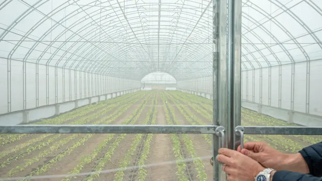 медиасток.рф