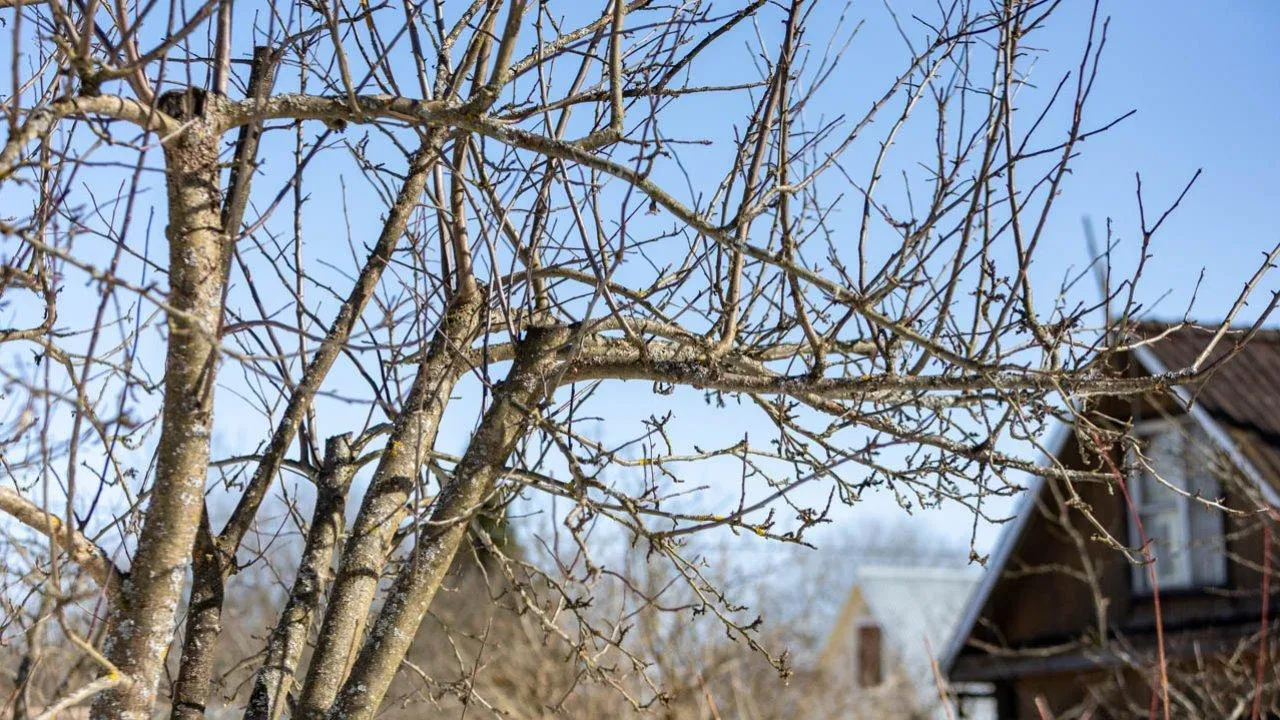 REGIONS/Роман Малышенко