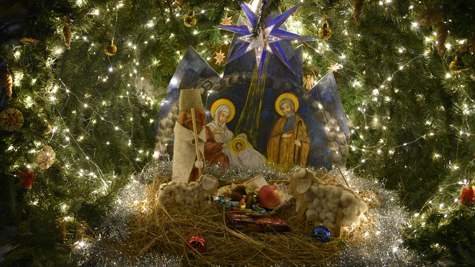 Фото: МедиаБанк Подмосковья/Владимир Останин