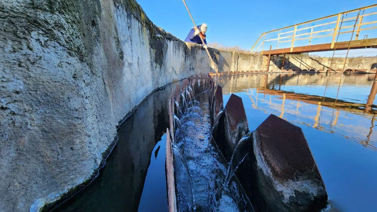 Фото: Яна Шаливская