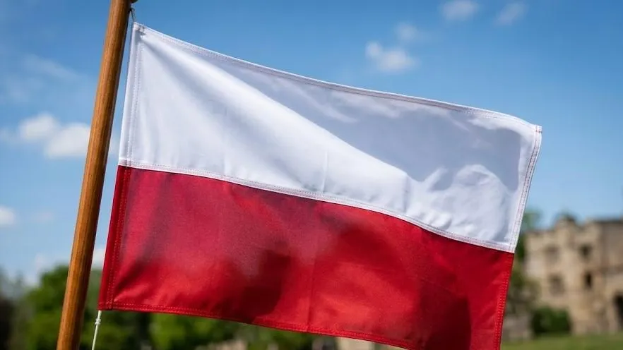 Сикорский объяснил сейму, почему Польша не хочет быть «лохом» в отношениях с США