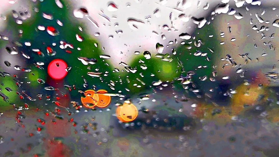 Фото: REGIONS/Алексей Селиверстов