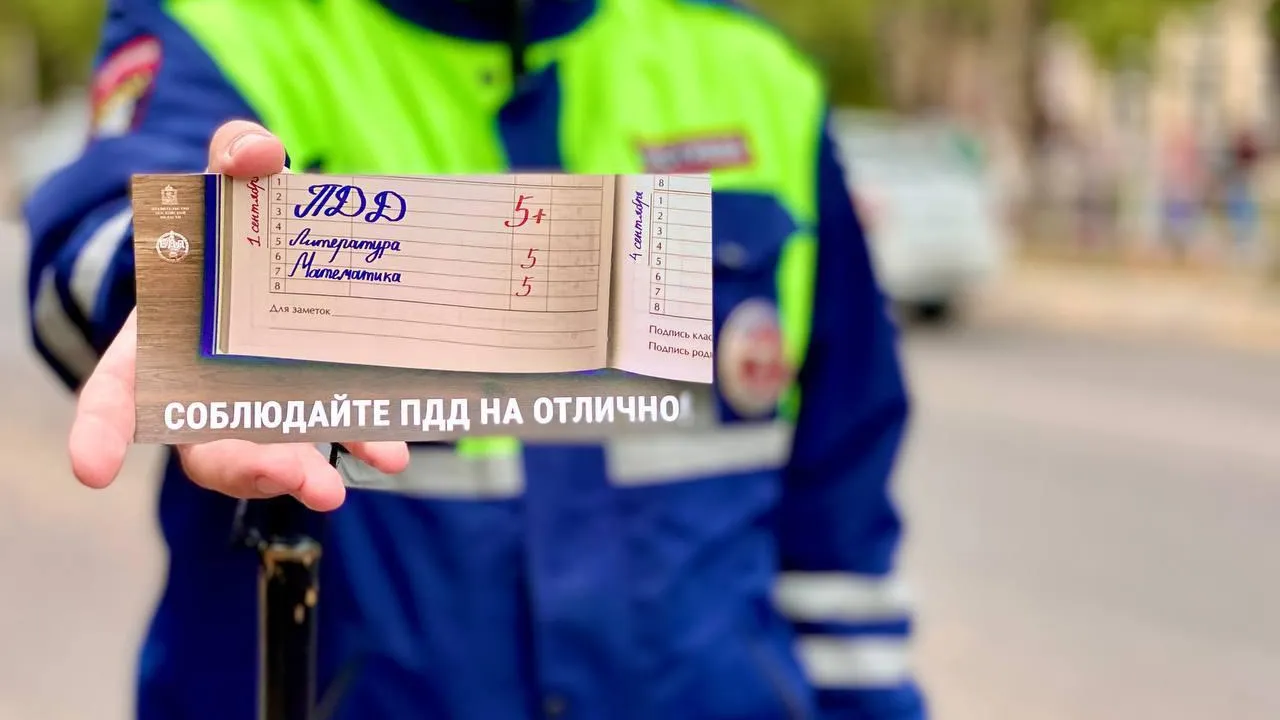 Фото: Госавтоинспекция Подмосковья