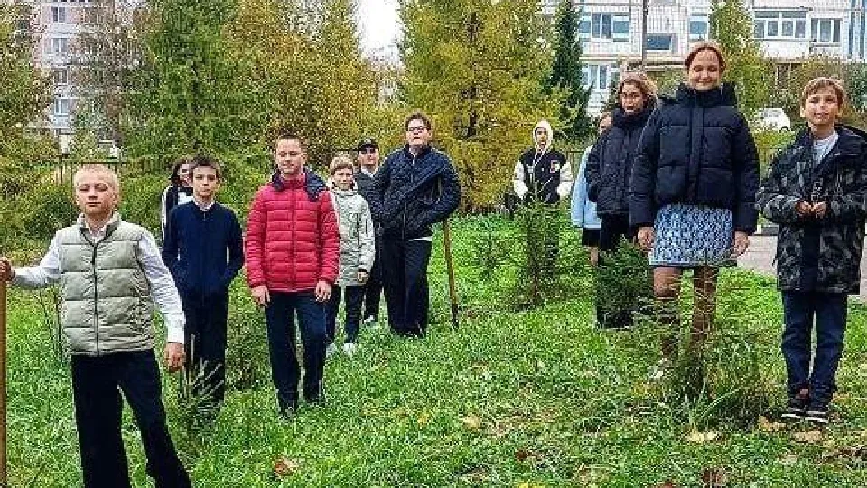 Фото: Комитет лесного хозяйства Московской области