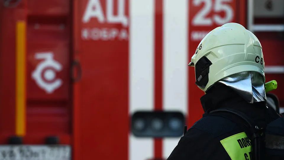 Фото: REGIONS/Анна Быкова