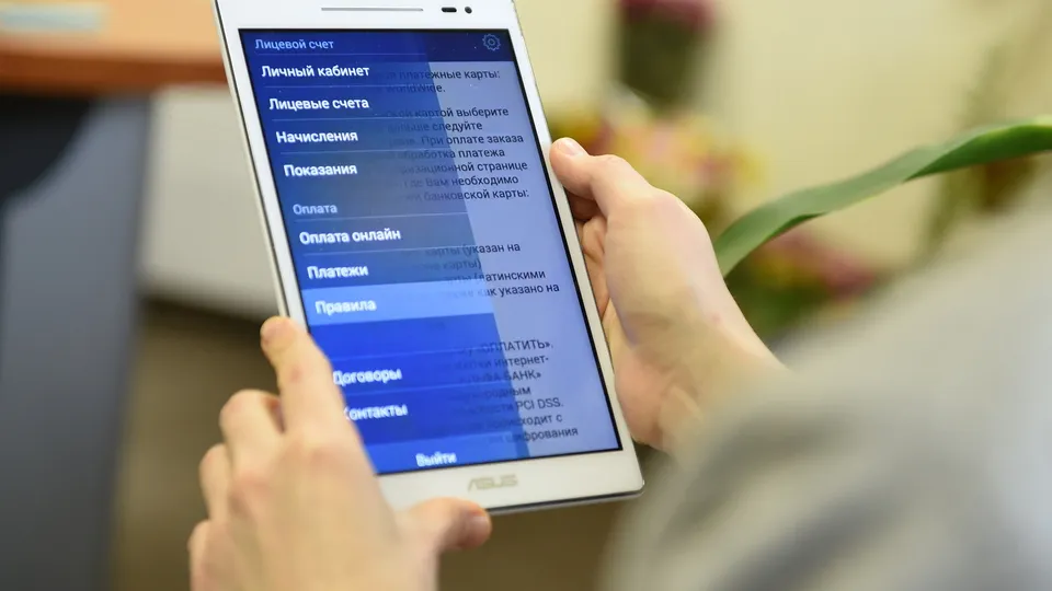 Фото: Медиаархив Подмосковья