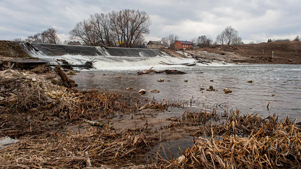 Фото: МедиаБанк Подмосковья