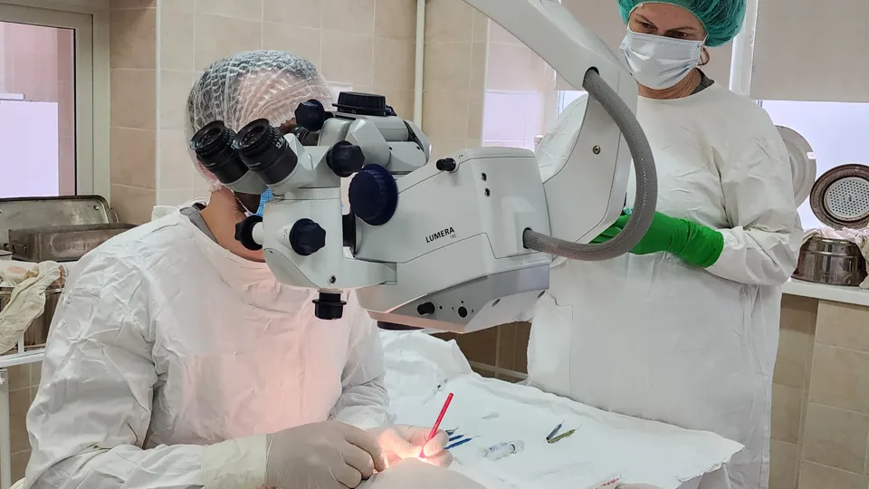 Фото: МедиаБанк Подмосковья/Иван Дубров