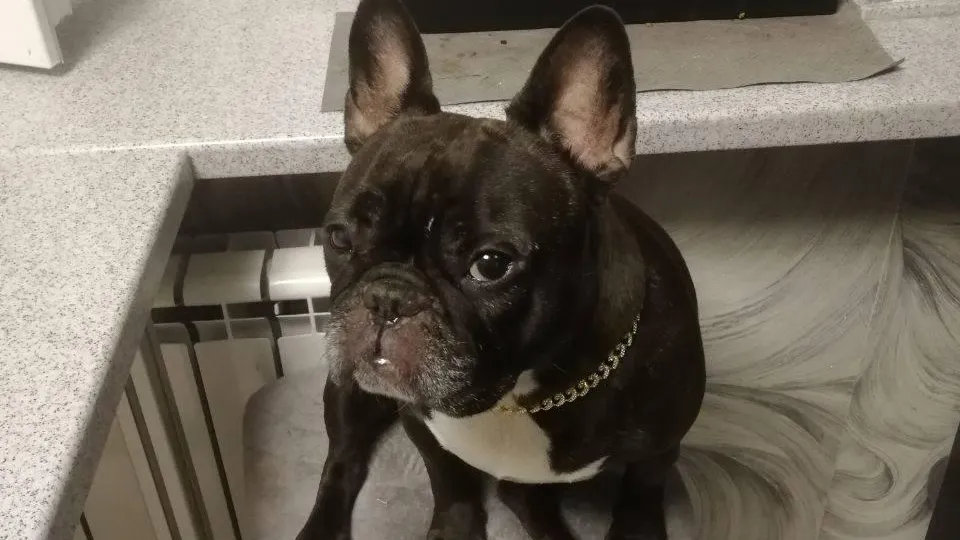 Министерство жилищной политики Московской области