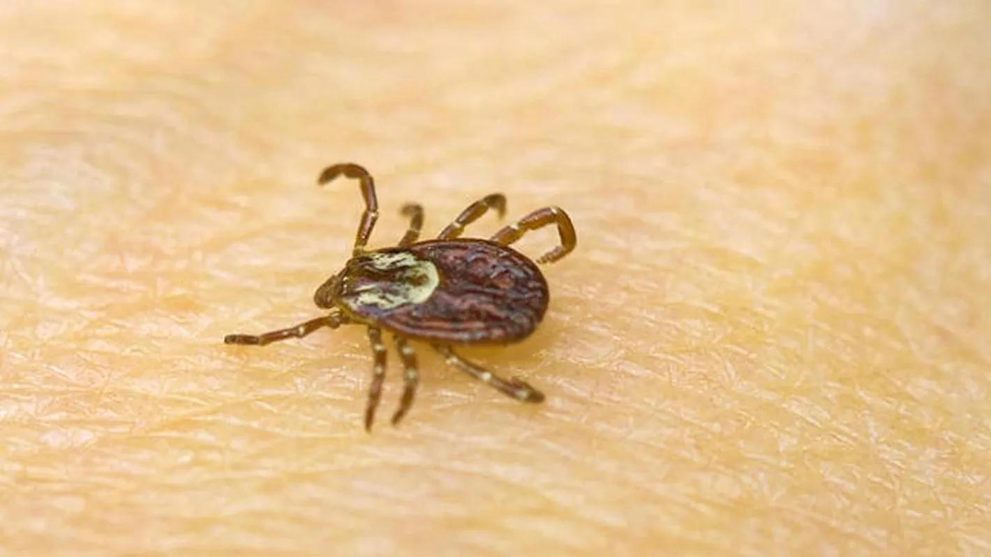 Фото: Министерство здравоохранения Московской области