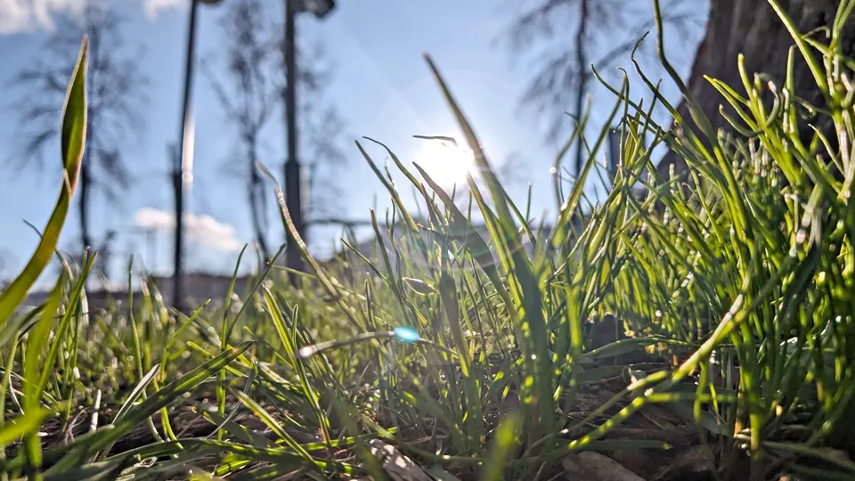 Фото: REGIONS/Алексей Селиверстов