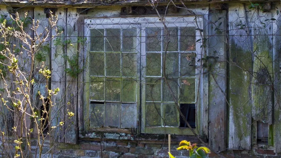 Фото: Pxhere.com