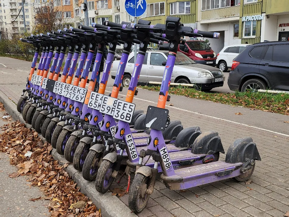 Фото: МедиаБанк Подмосковья/Максим Сафронов