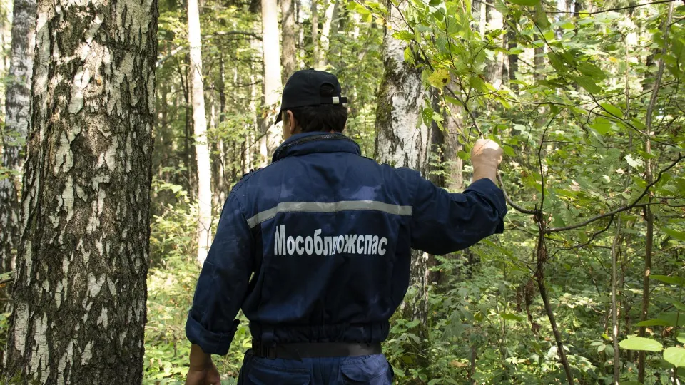 Фото: ГКУ МО «Мособлпожспас»