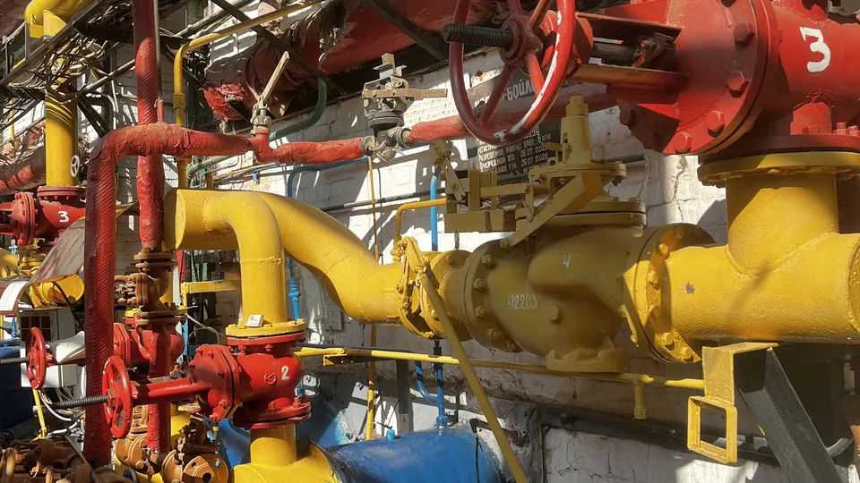 Фото: МедиаБанк Подмосковья/Наталья Котова