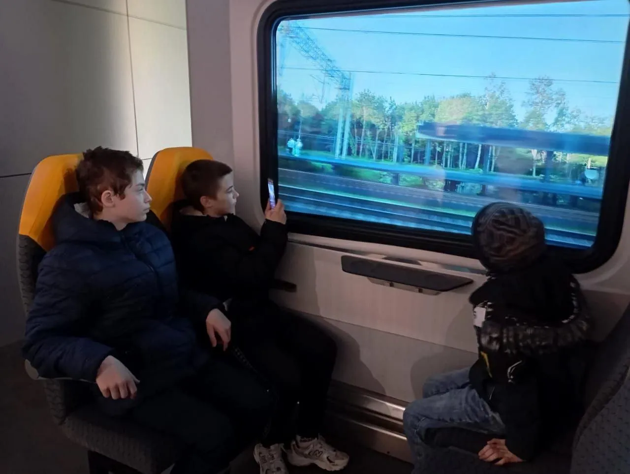 Фото: Министерство социального развития Московской области