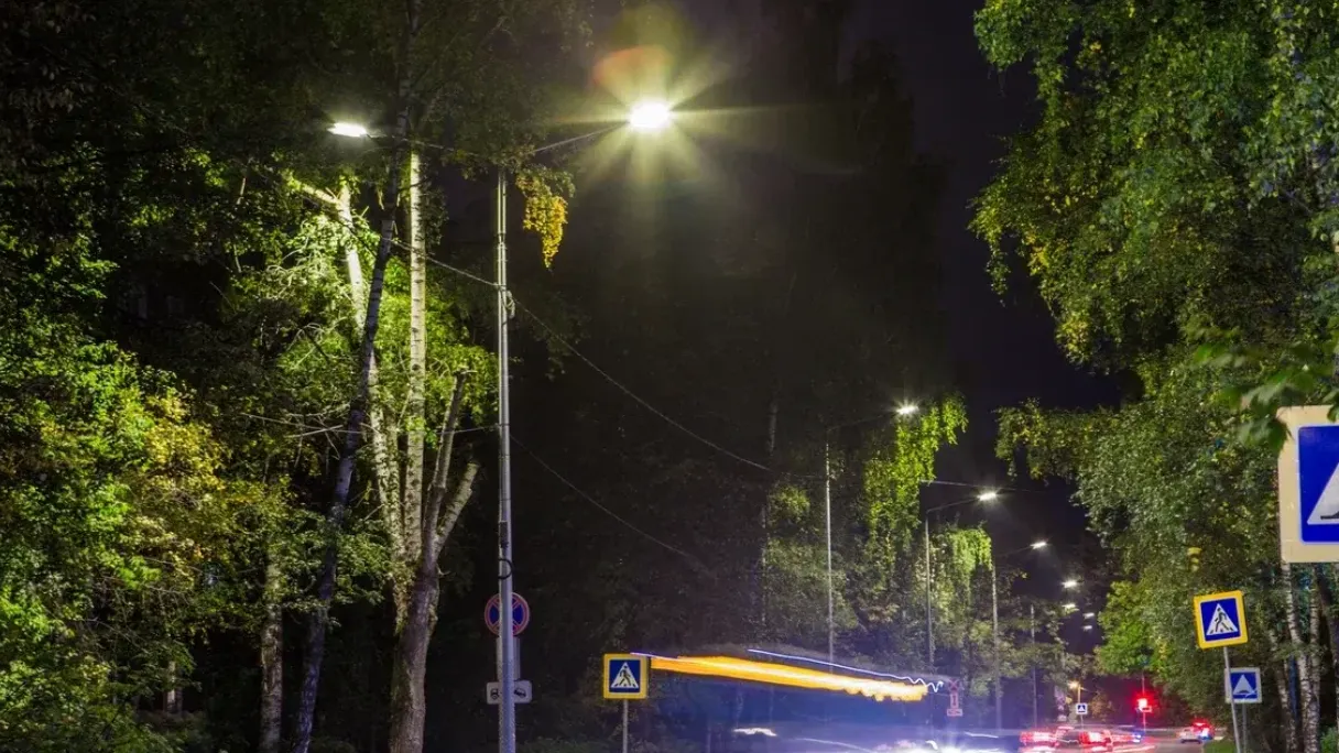 Фото: Министерство благоустройства Московской области