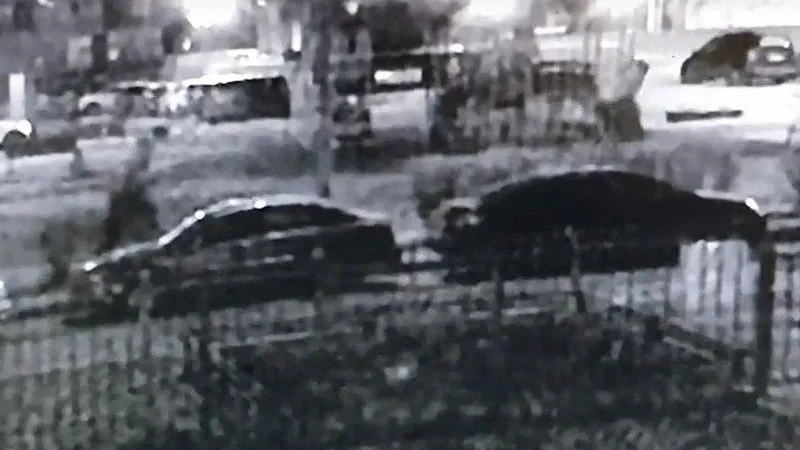 Подростки попрыгали на припаркованных иномарках в Балашихе