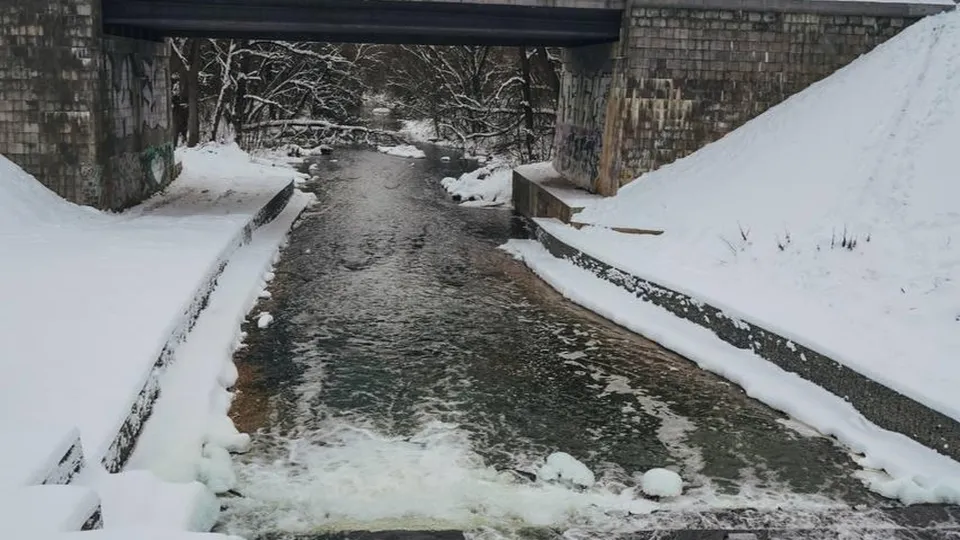 Фото: администрация г.о. Клин