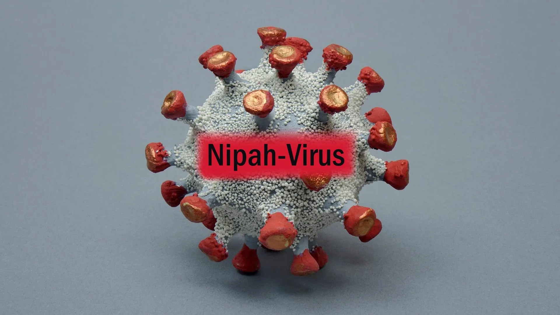 IMAGO/Sascha Steinach