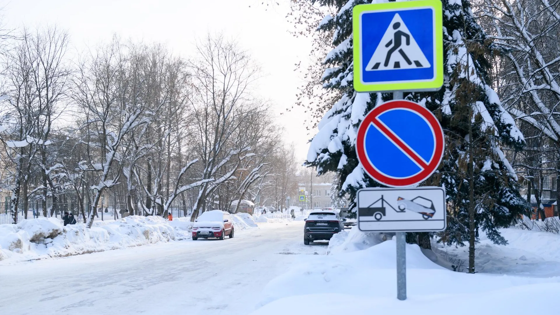 Александр Щербаков
