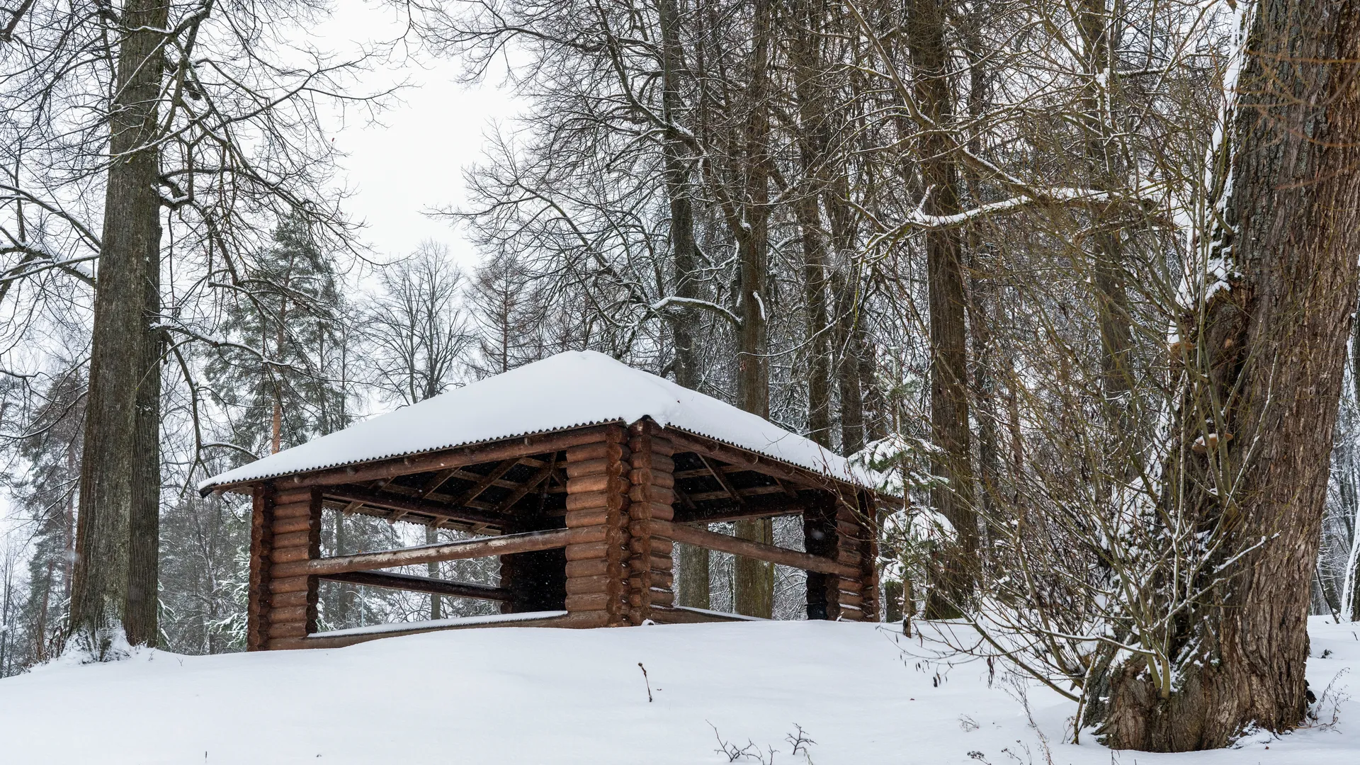 медиасток.рф