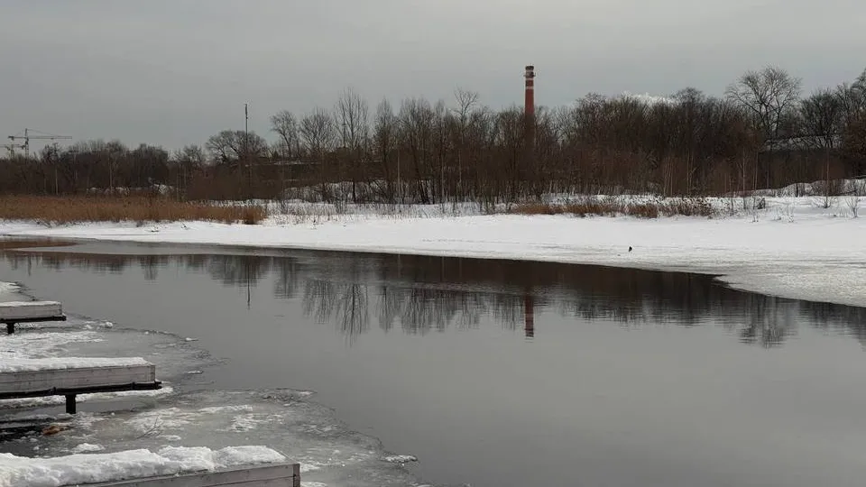 Фото: управление экологии городского округа Мытищи