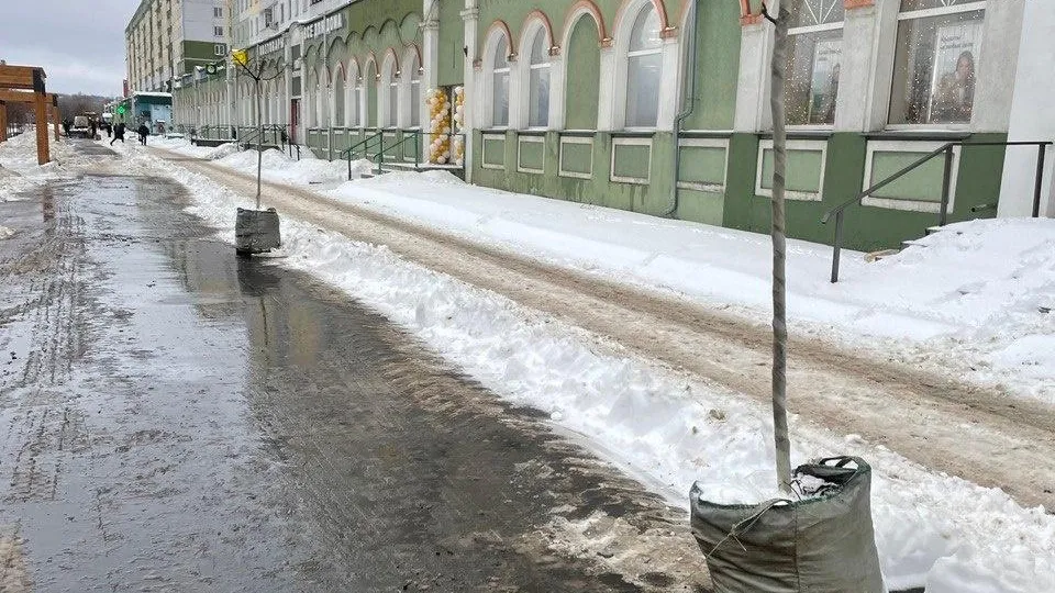 Фото https://vk.com/chp.dmitrov