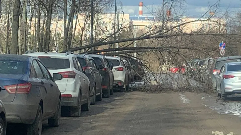Фото: соцсети
