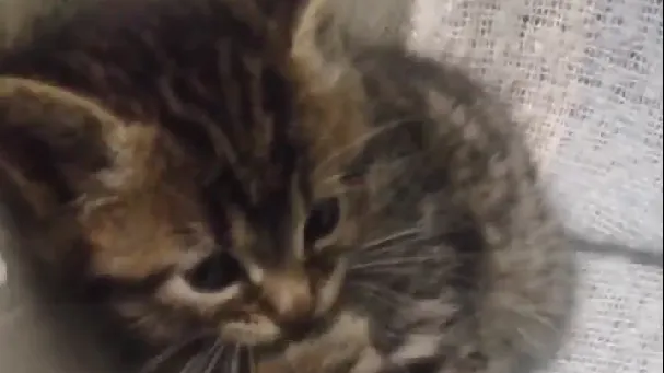 Фото: Подслушано на Глебовке (новая) / ВКонтакте