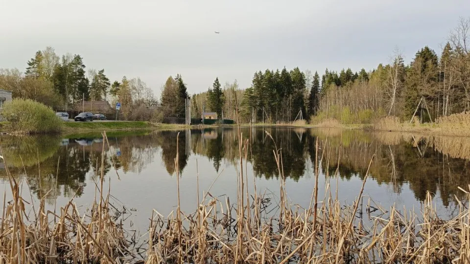 Фото: Евгения Герасимова