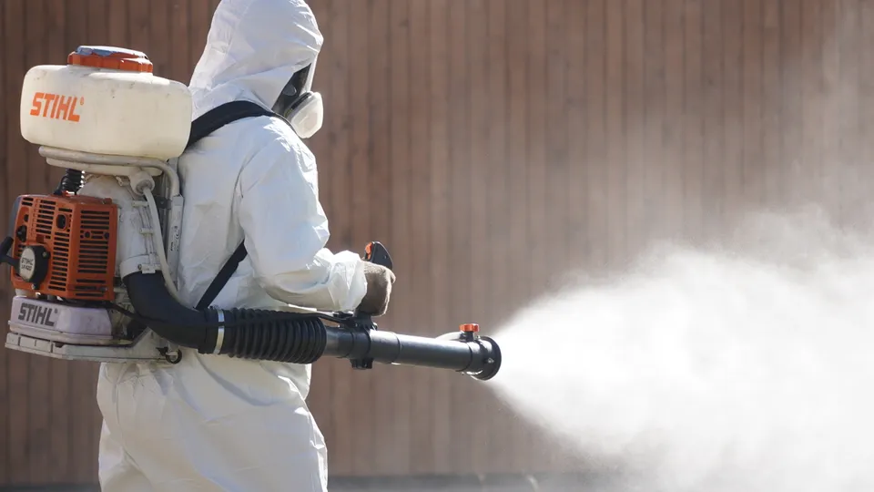 Фото: МедиаБанк Подмосковья/Алена Притула