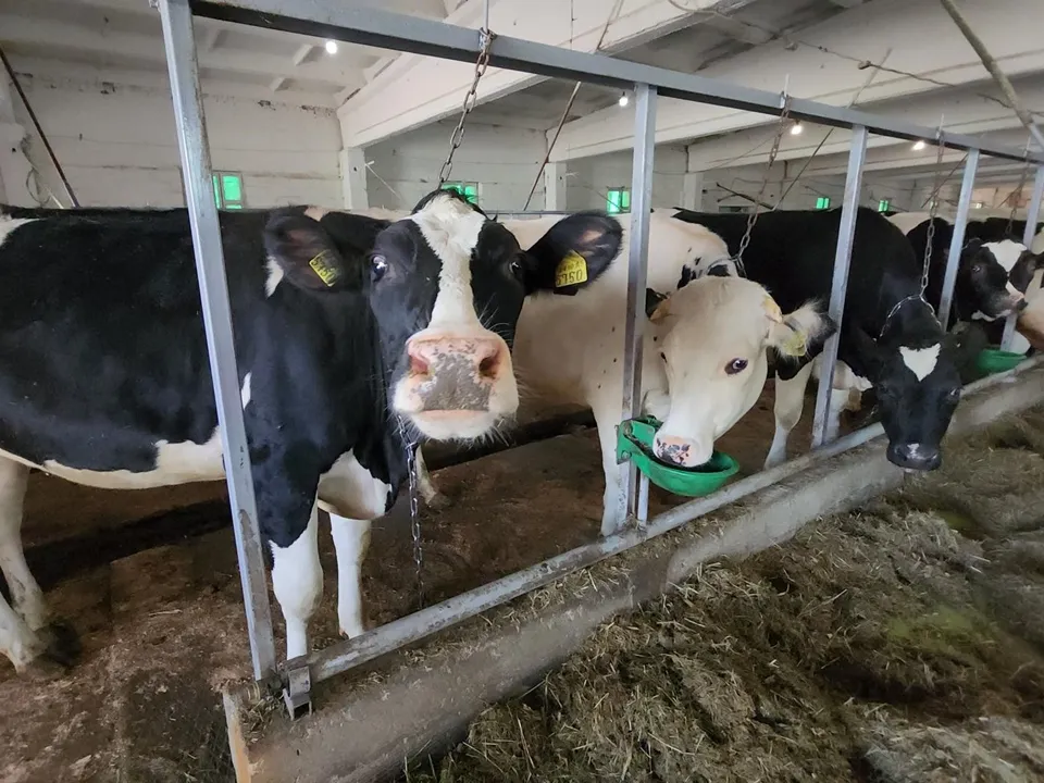 Фото: REGIONS/Валерий Гореловский